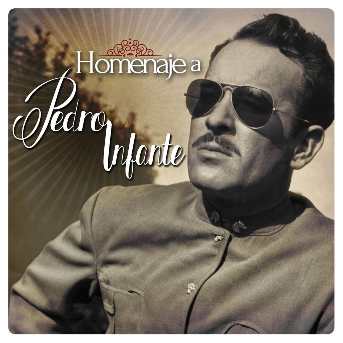 Album cover of Homenaje A Pedro Infante