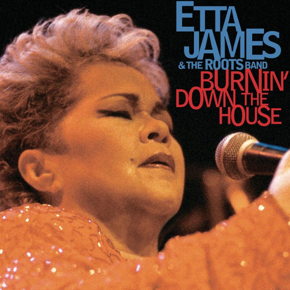 Picture of Burnin' Down The House