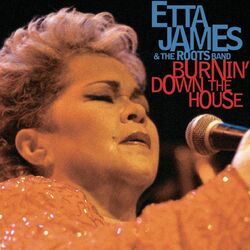 Cover of Burnin' Down The House