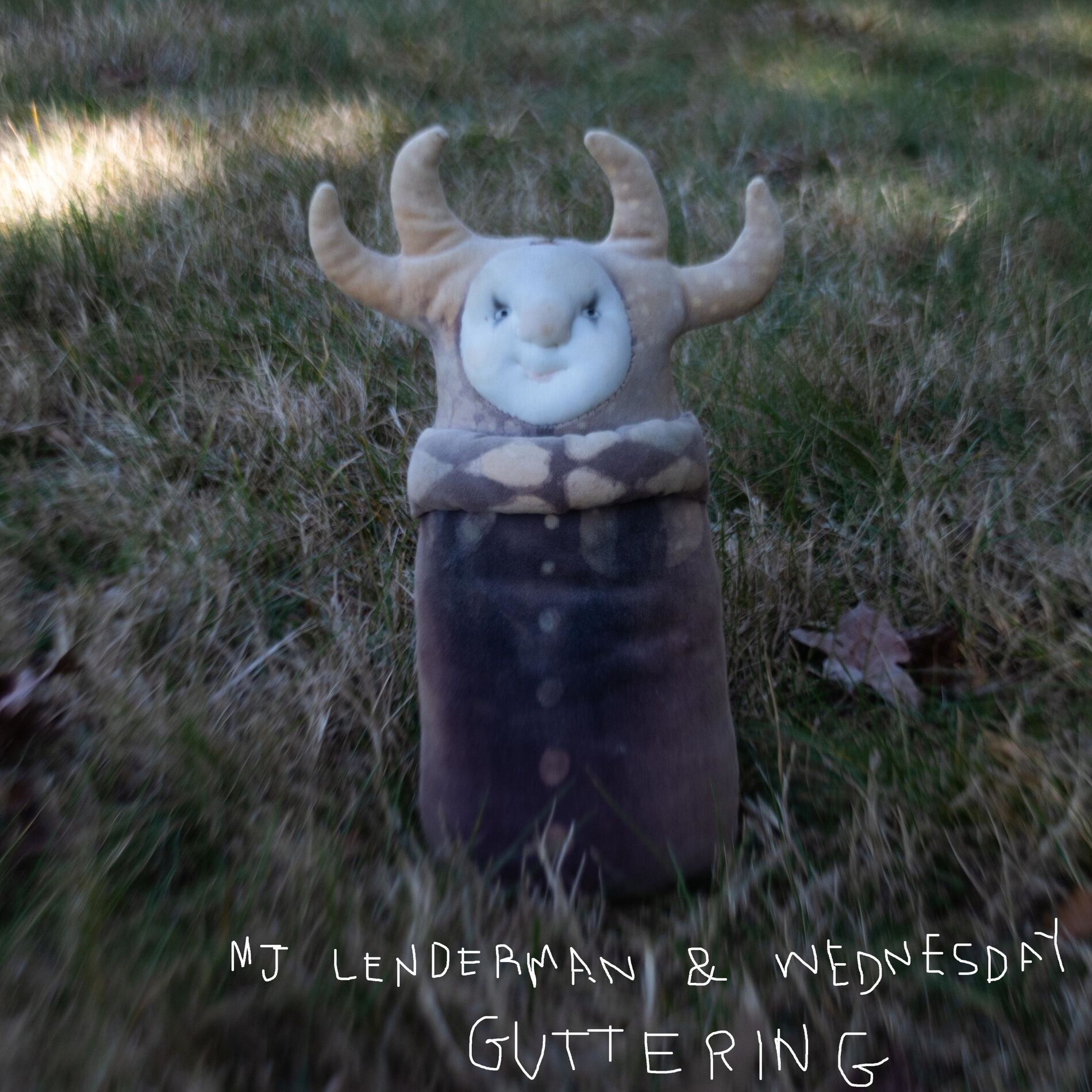 Album cover of My Voice is a Little Horse