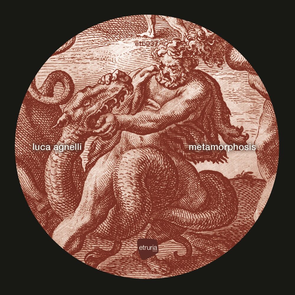 Picture of Metamorphosis