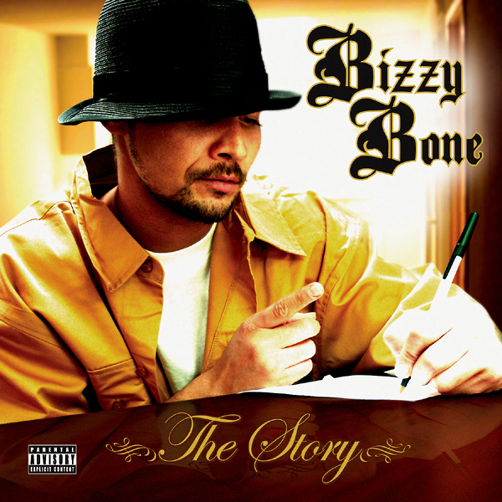 Album cover of The Story