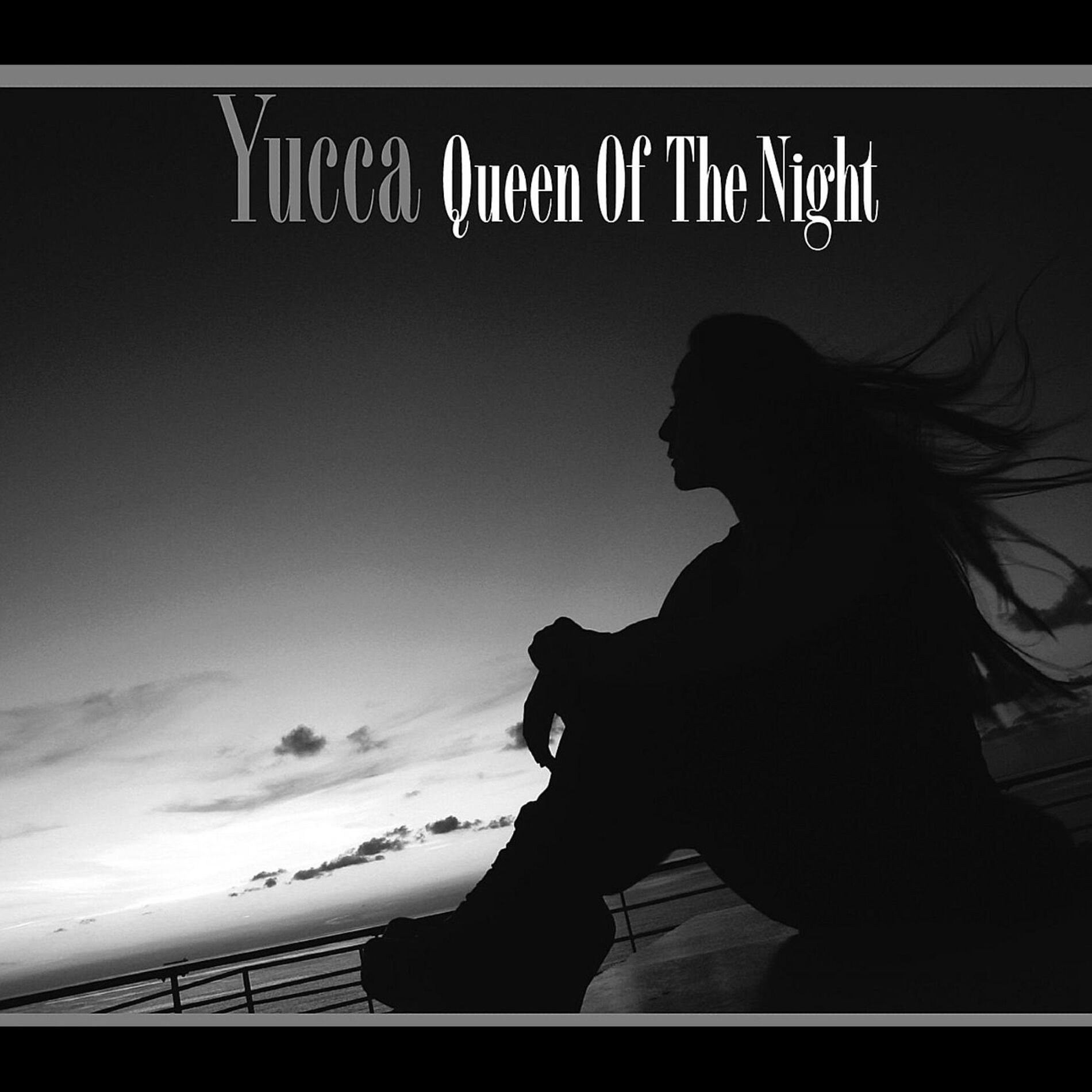 Album cover of Queen Of The Night