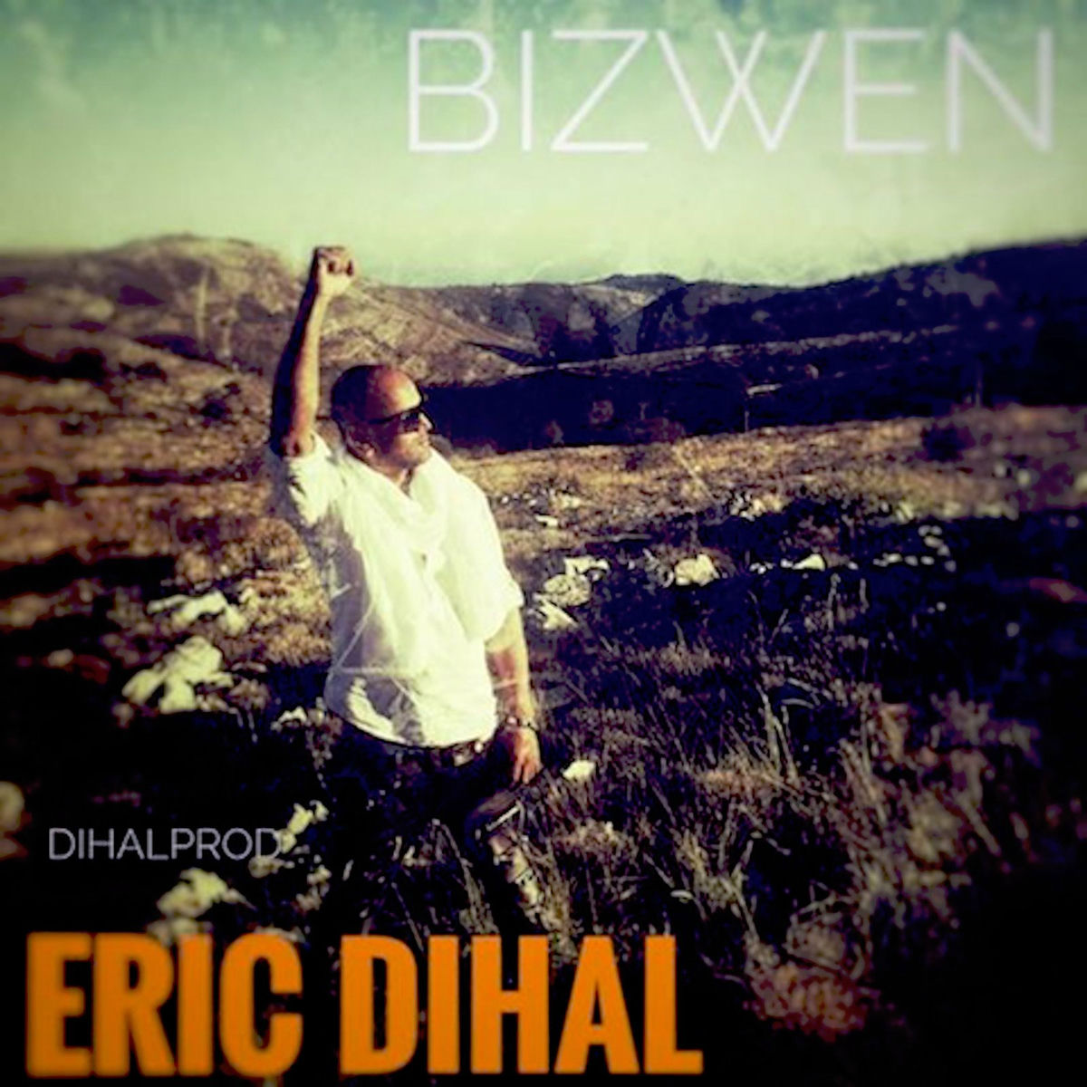 Album cover of NOU BIZWEN