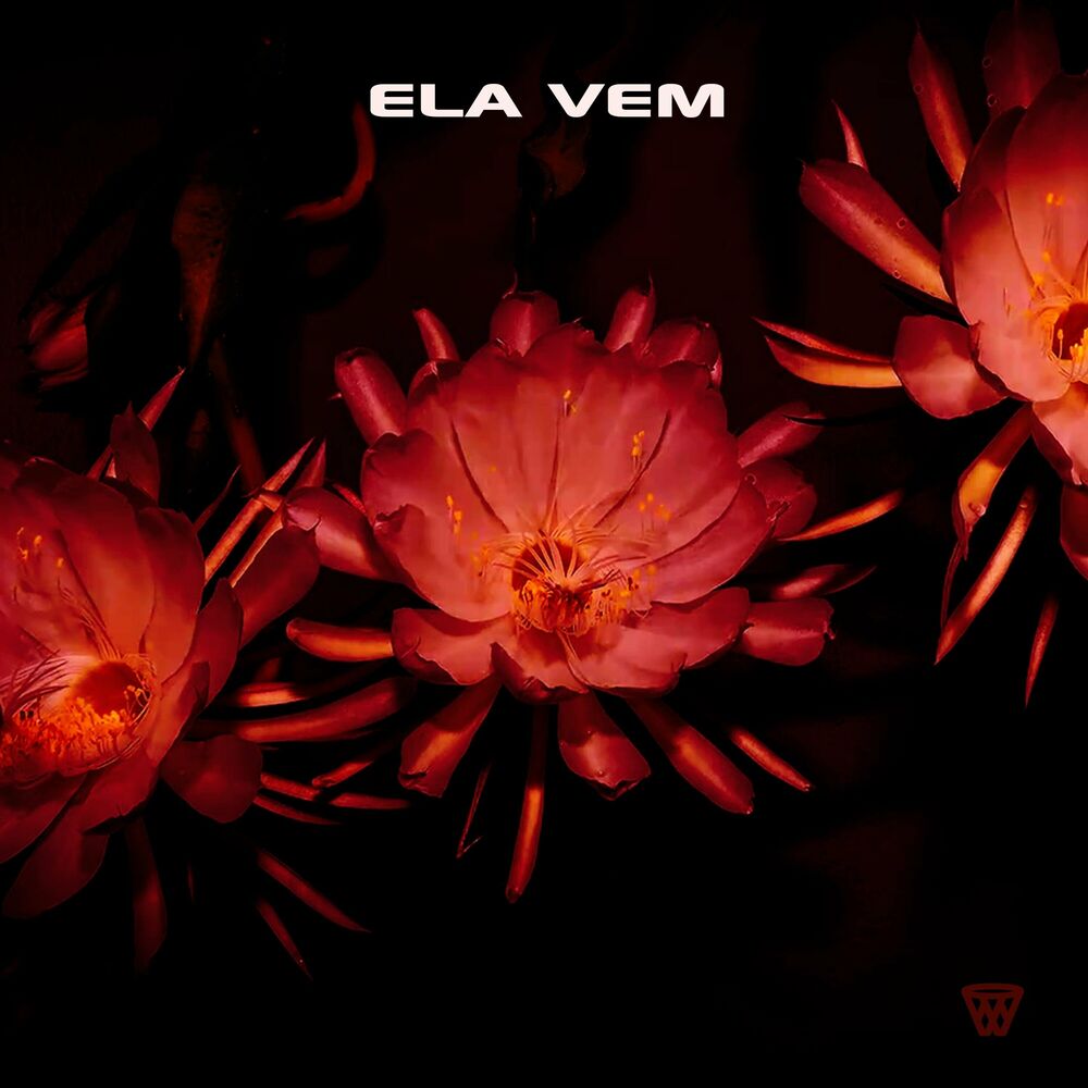 Picture of ELA VEM