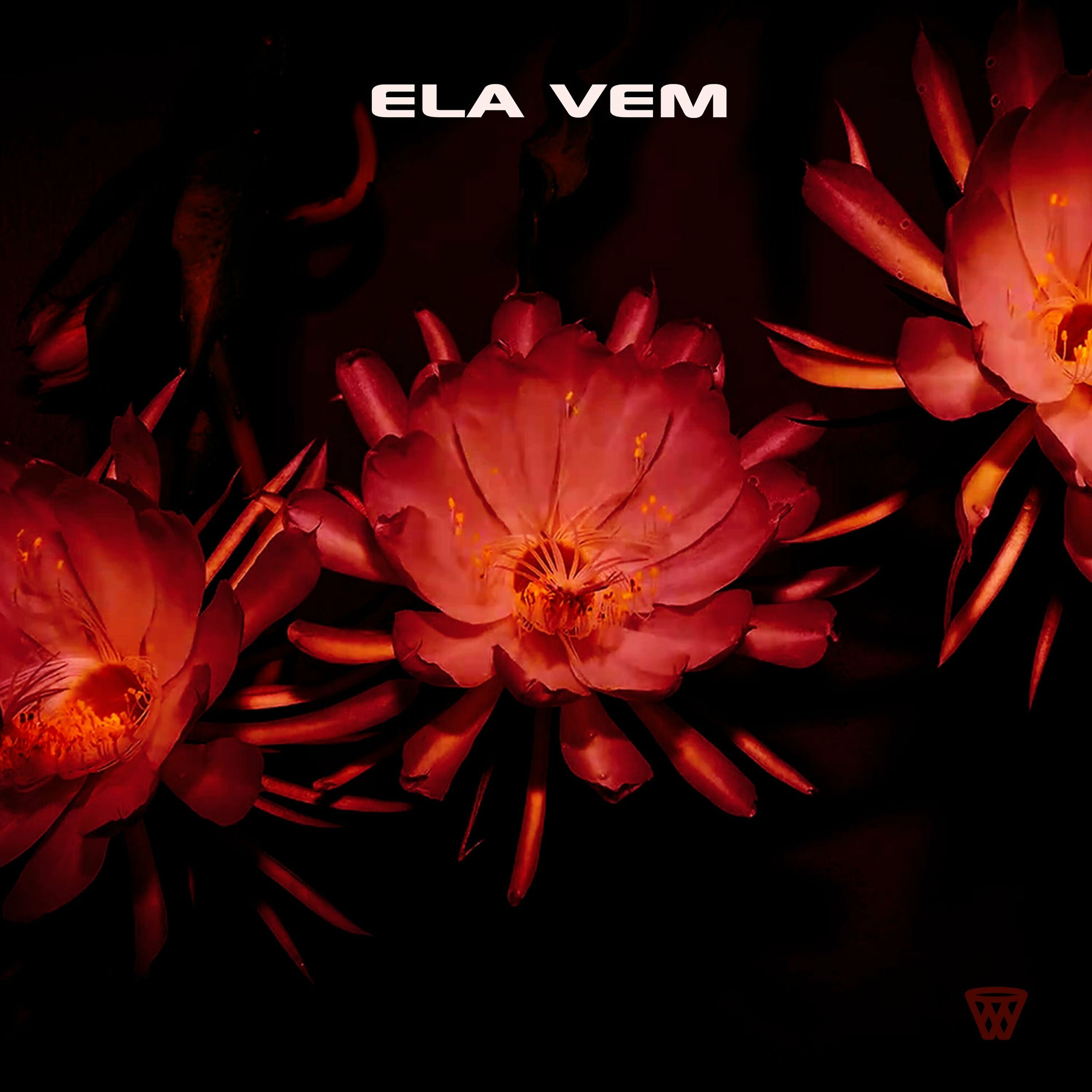 Album cover of ELA VEM