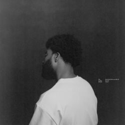 Cover of Please Don't Fall In Love With Me