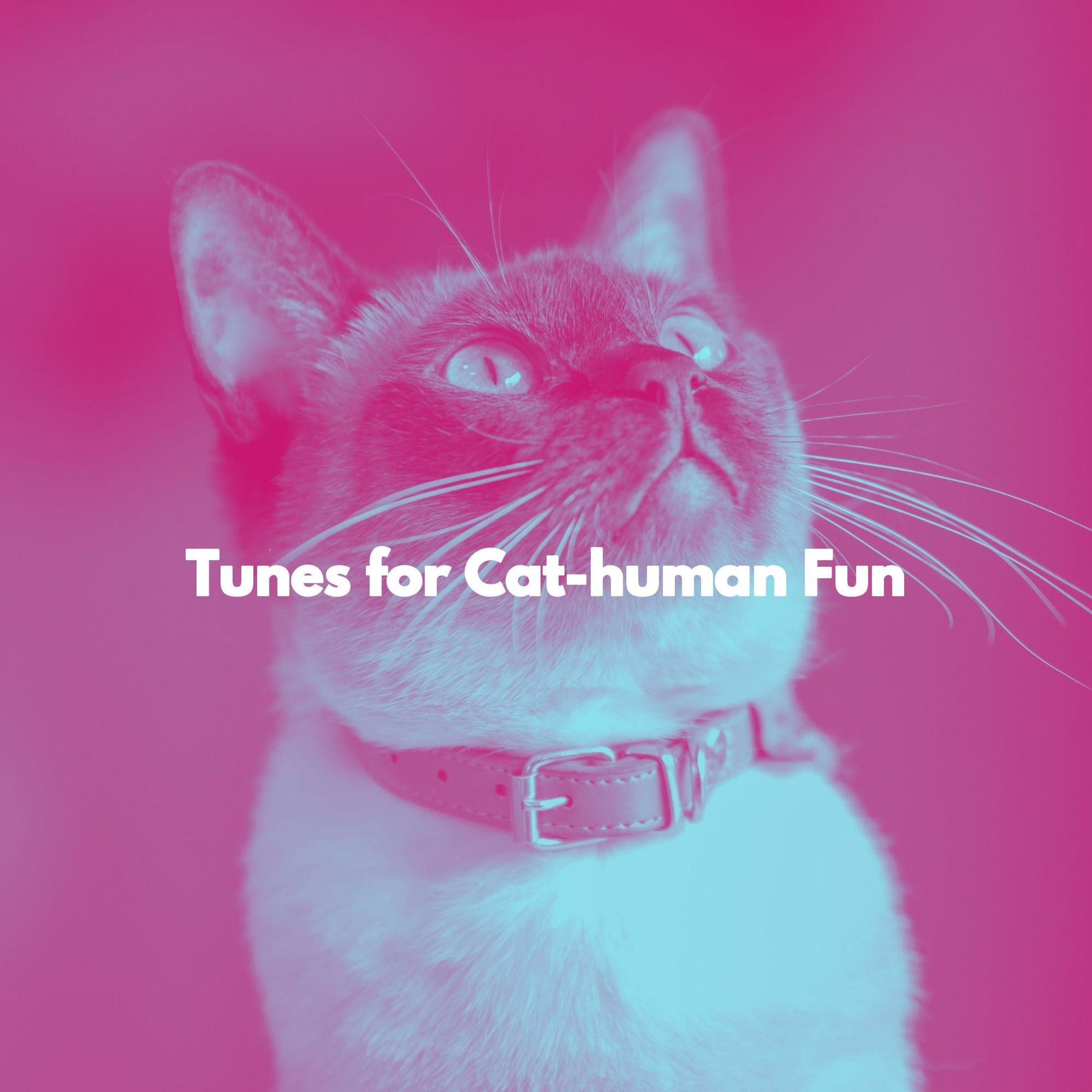 Album cover of Tunes for Cat-human Fun