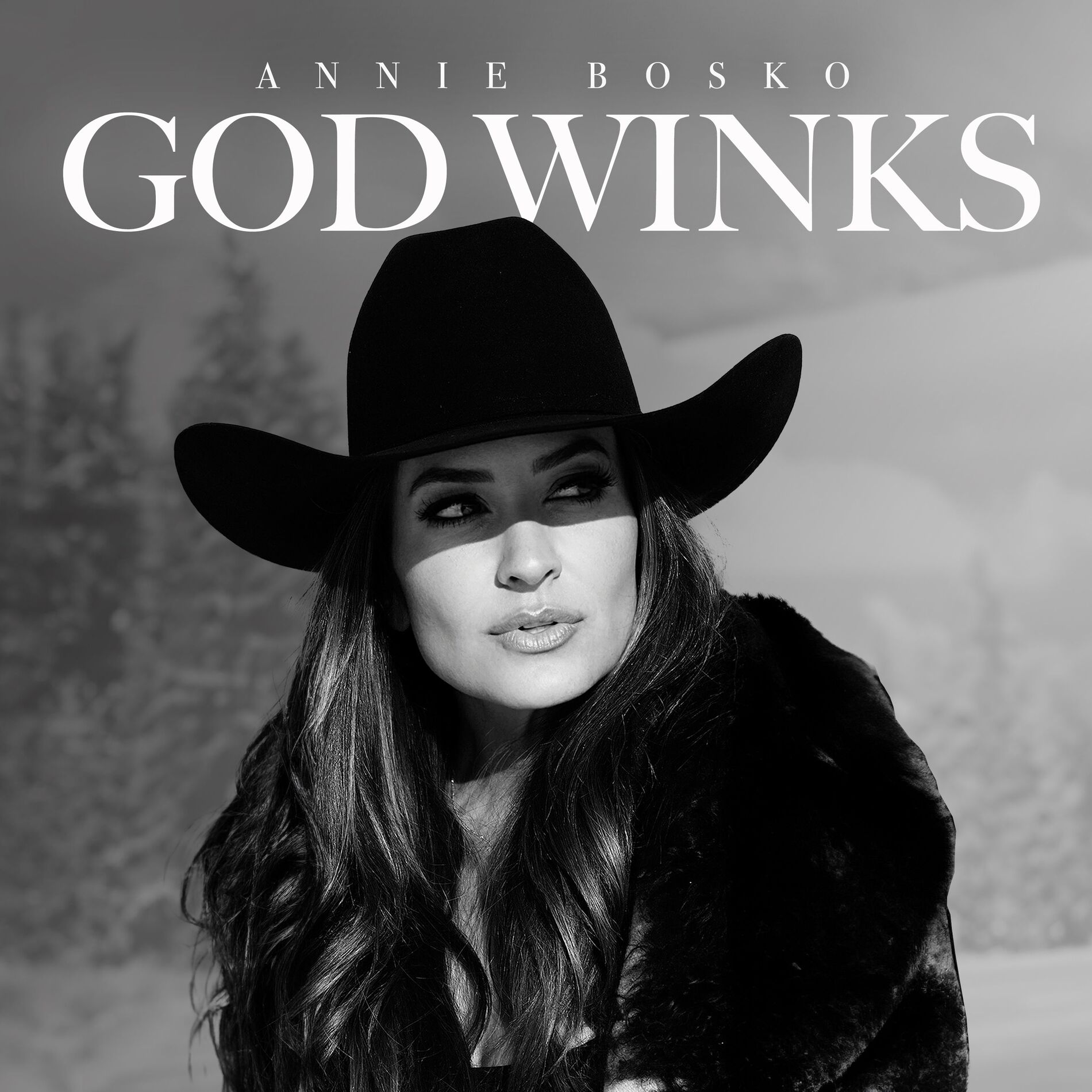 Album cover of God Winks