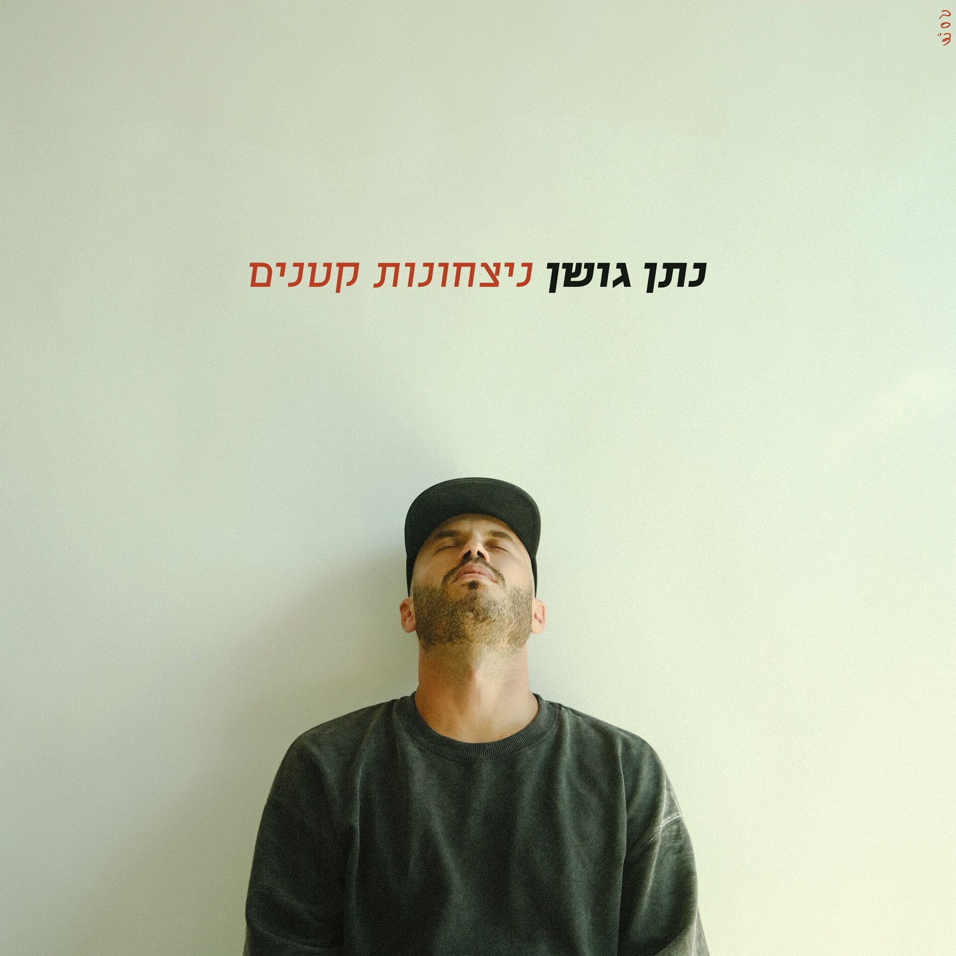 Album cover of ניצחונות קטנים