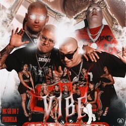 Cover of Vibe