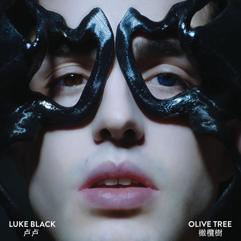 Picture of Olive Tree