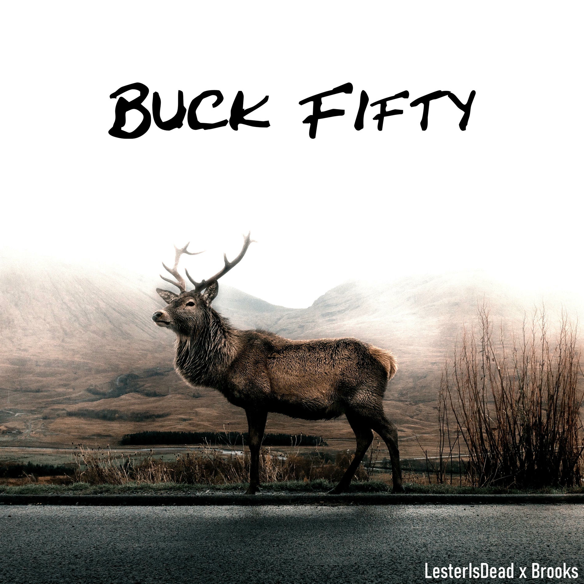 Album cover of Buck Fifty (feat. Brooks)