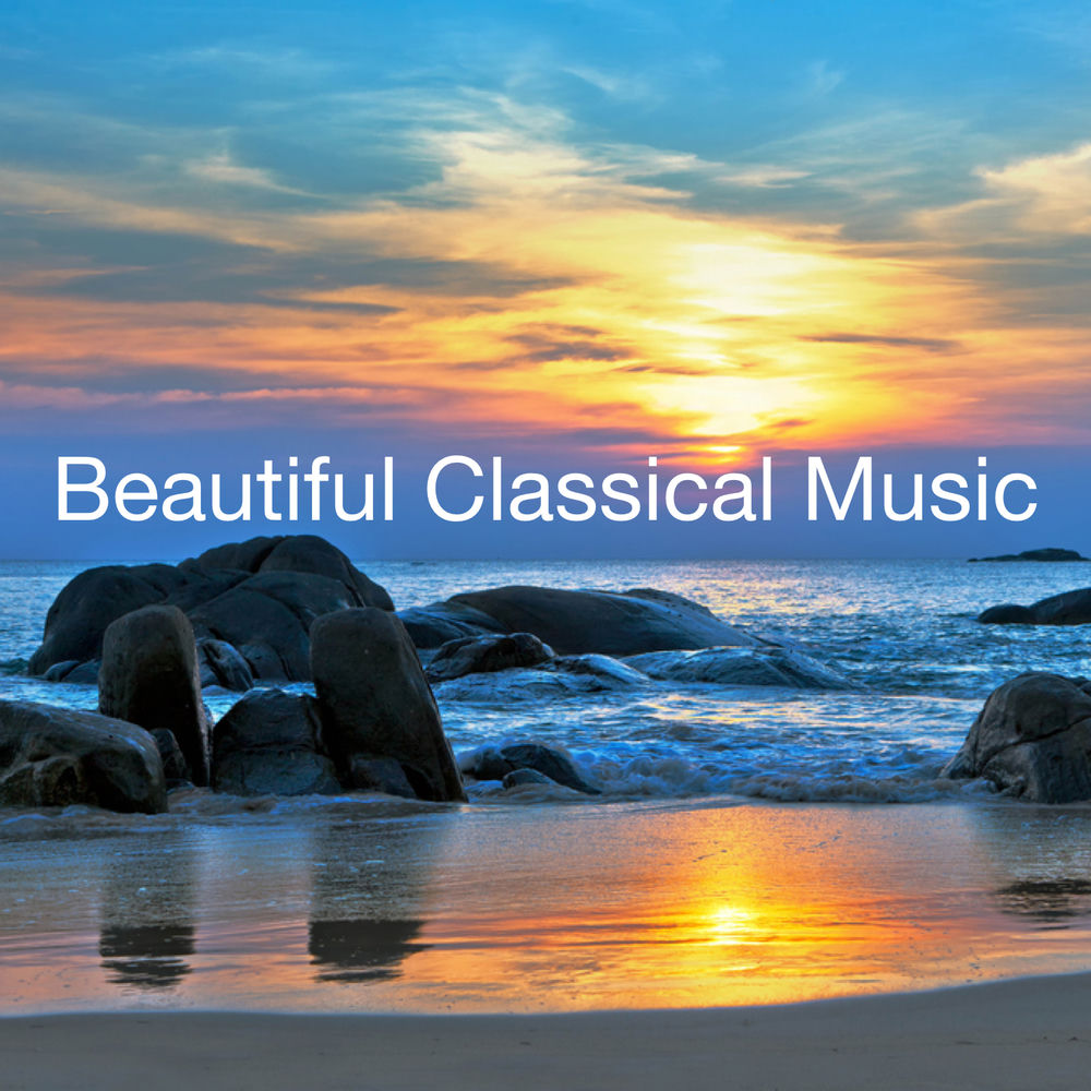 Album artwork for Sonata for Violin and Piano in G Minor, D. 408: II. Andante by Emily Sun