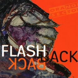 Cover of Flashback