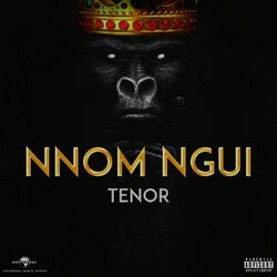 Cover of Nnom Ngui