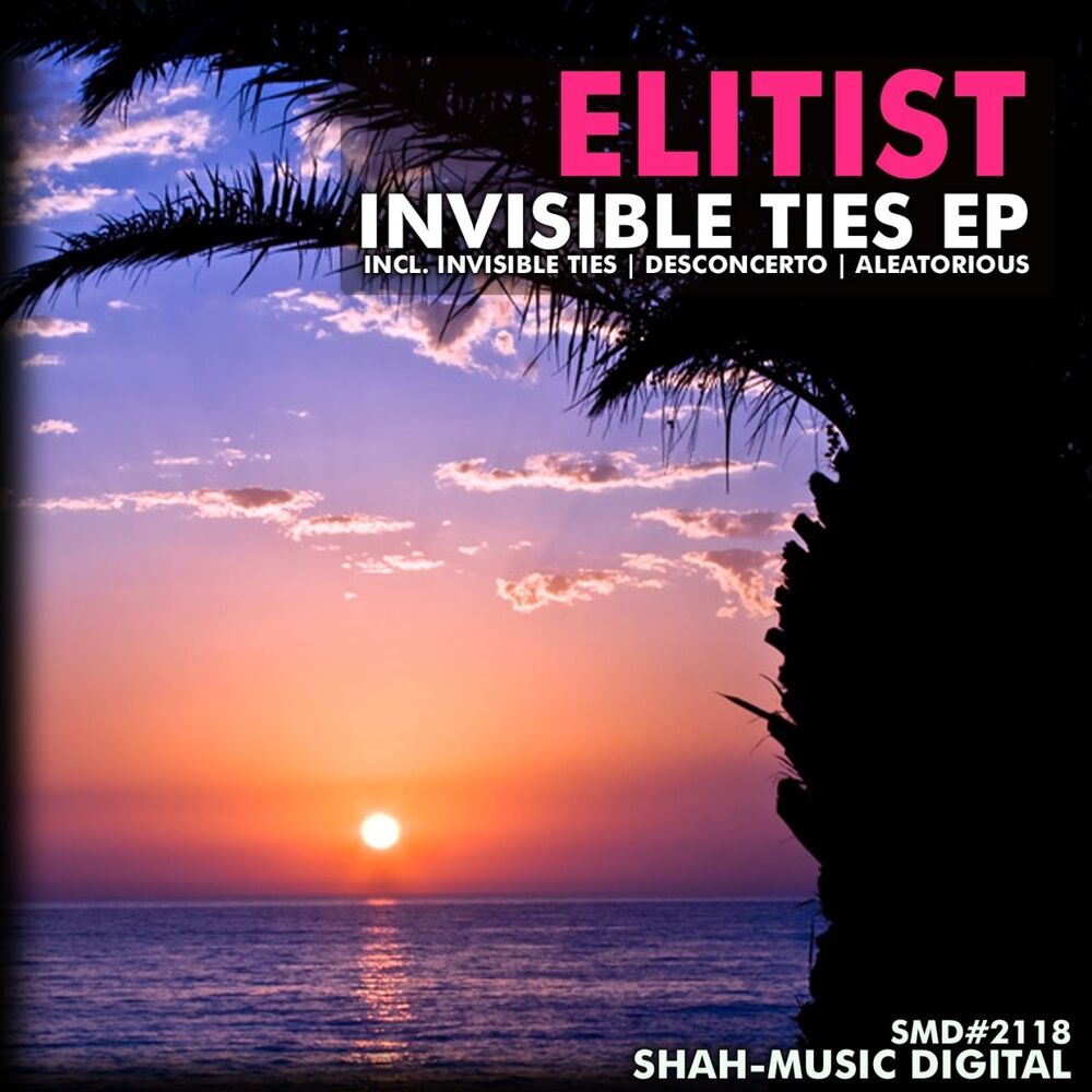 Picture of Invisible Ties
