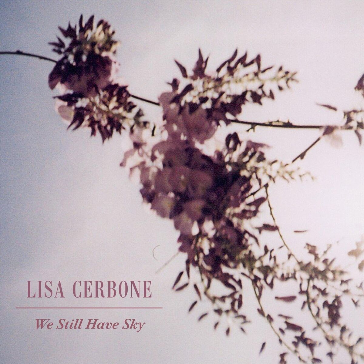 Album cover of We Still Have Sky