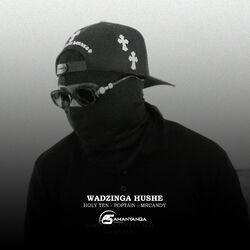 Cover of Wadzinga Hushe