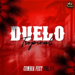 Cover of Cumbia Fest Vol. 11