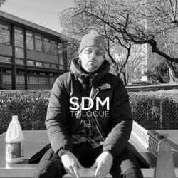 Cover of Scène De Ménage (feat. Triloque)