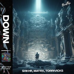 Cover of Down