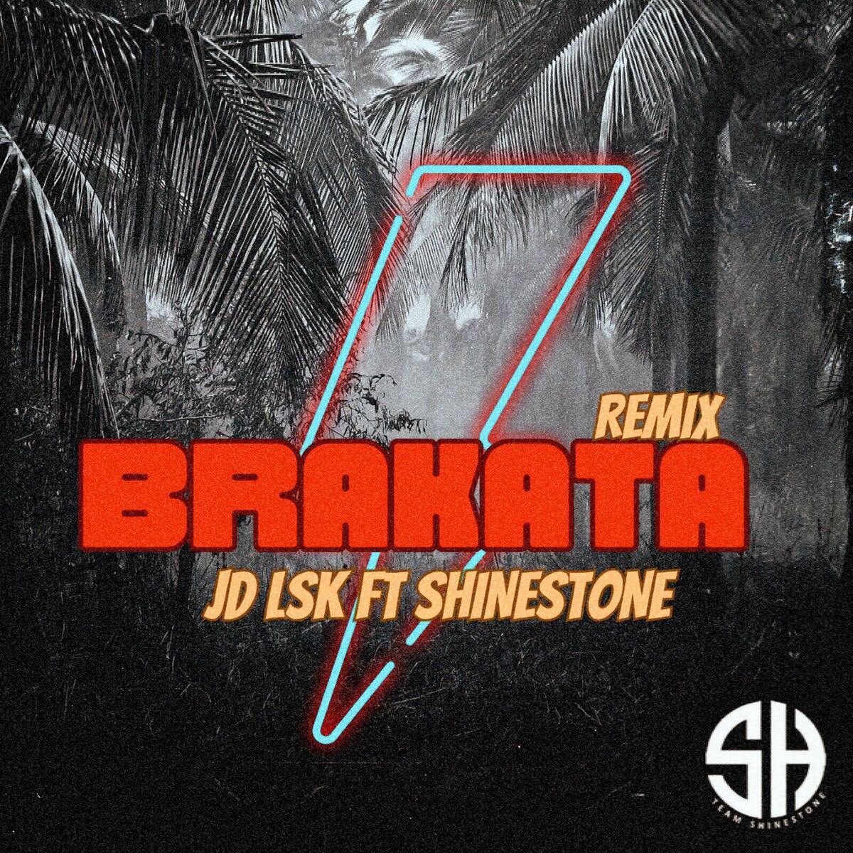 Album cover of Brakata (Remix)