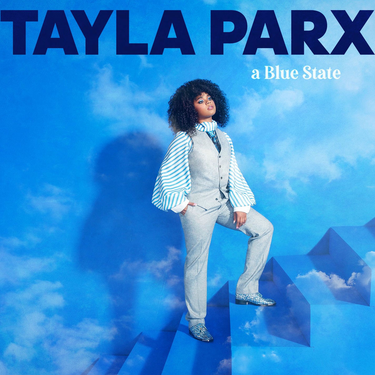 Album cover of A Blue State
