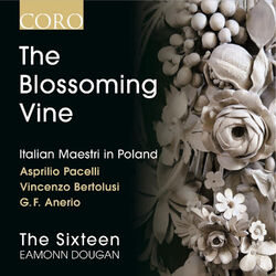 Cover of The Blossoming Vine: Italian Maestri in Poland