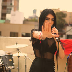 Cover of Amigos No Por Favor
