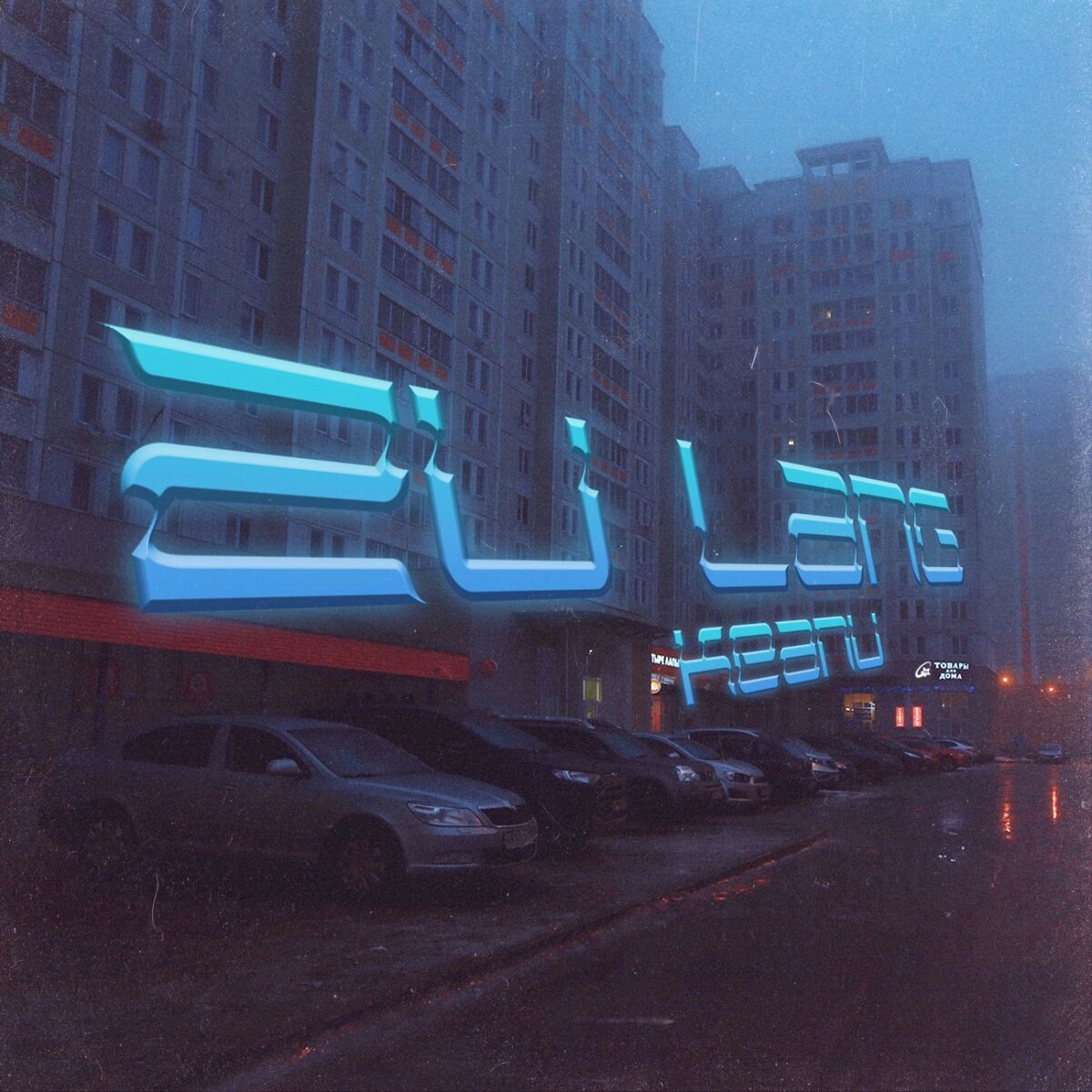 Album cover of Zu lang