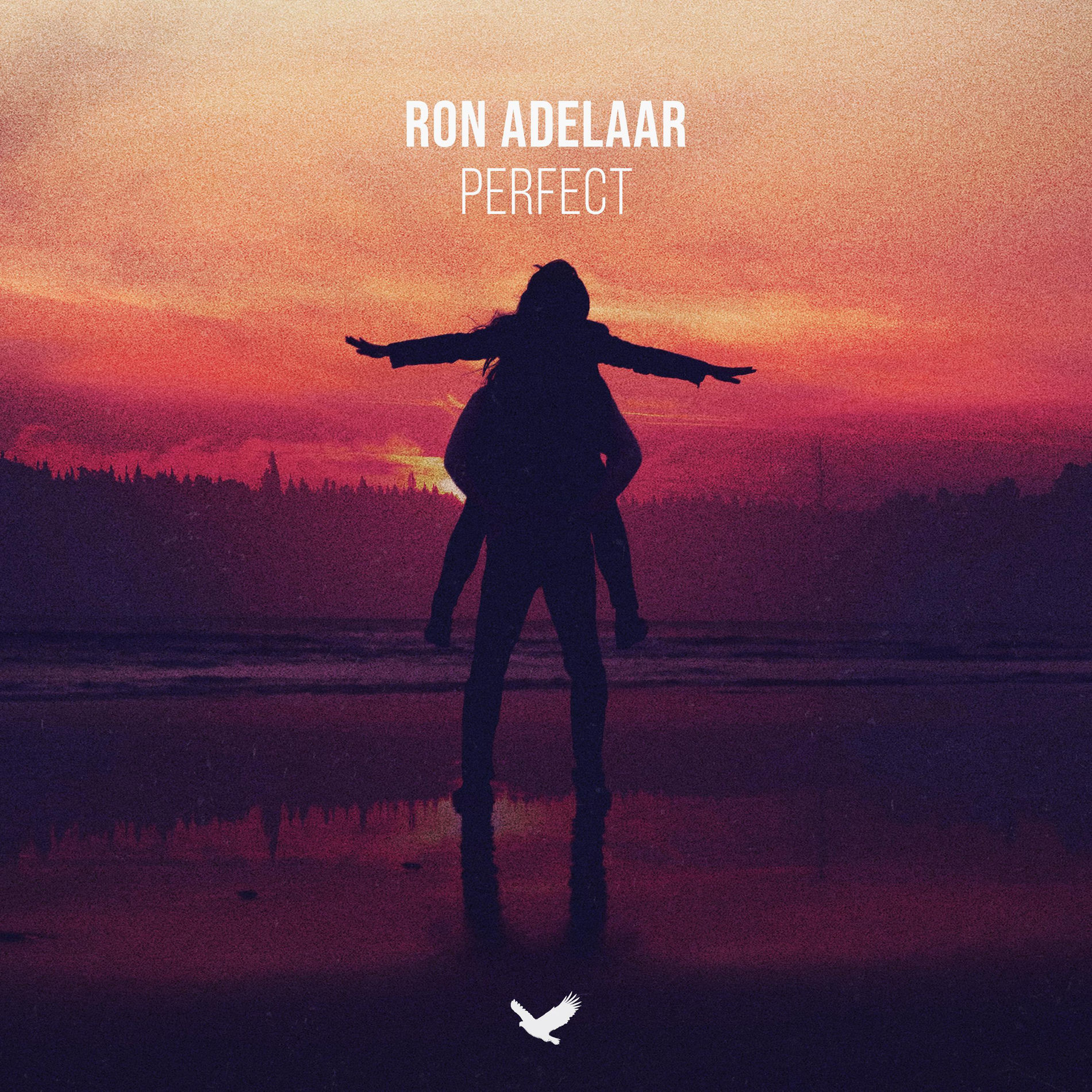 Album cover of Perfect