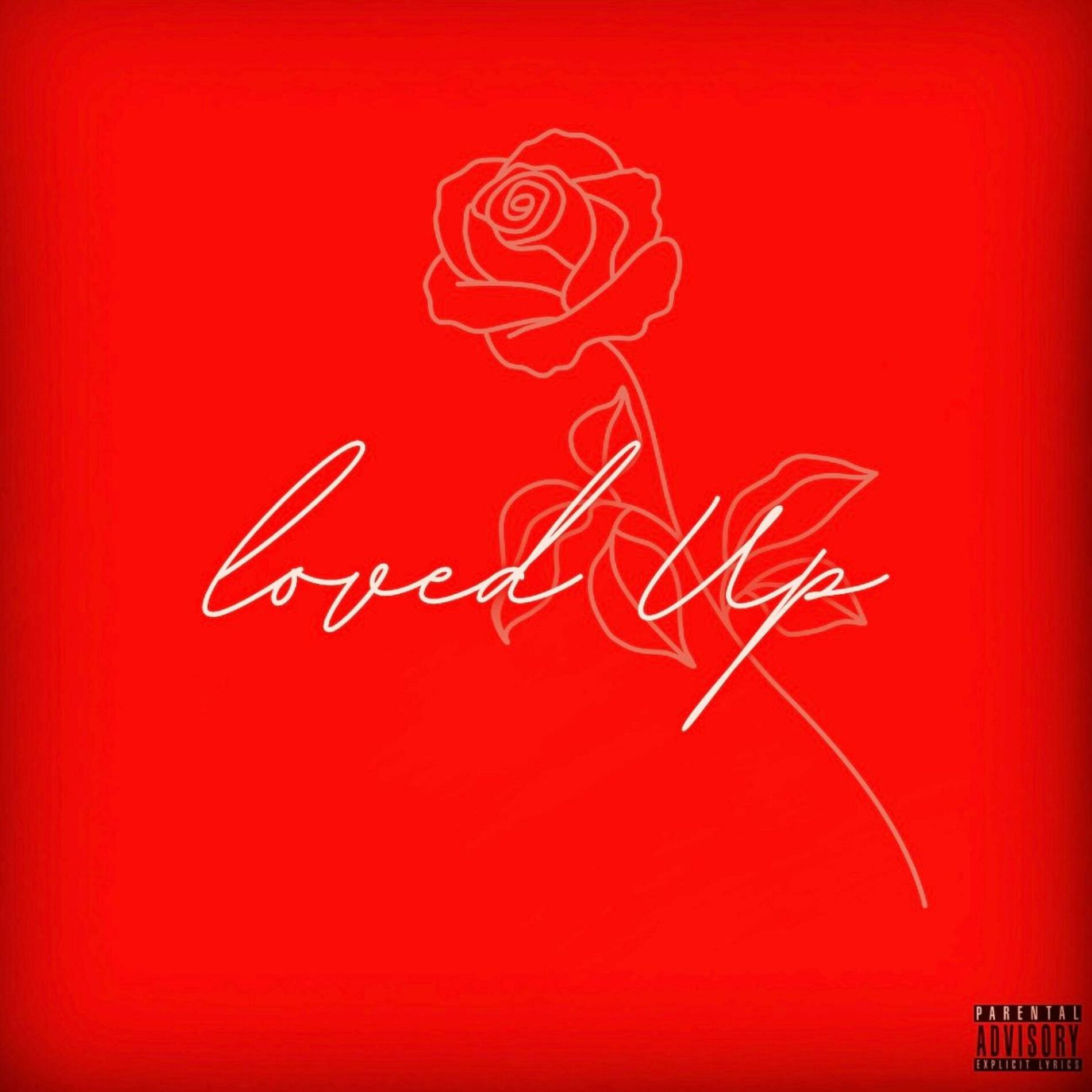Album cover of Loved Up