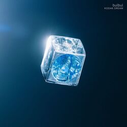 Cover of Kodak Dream