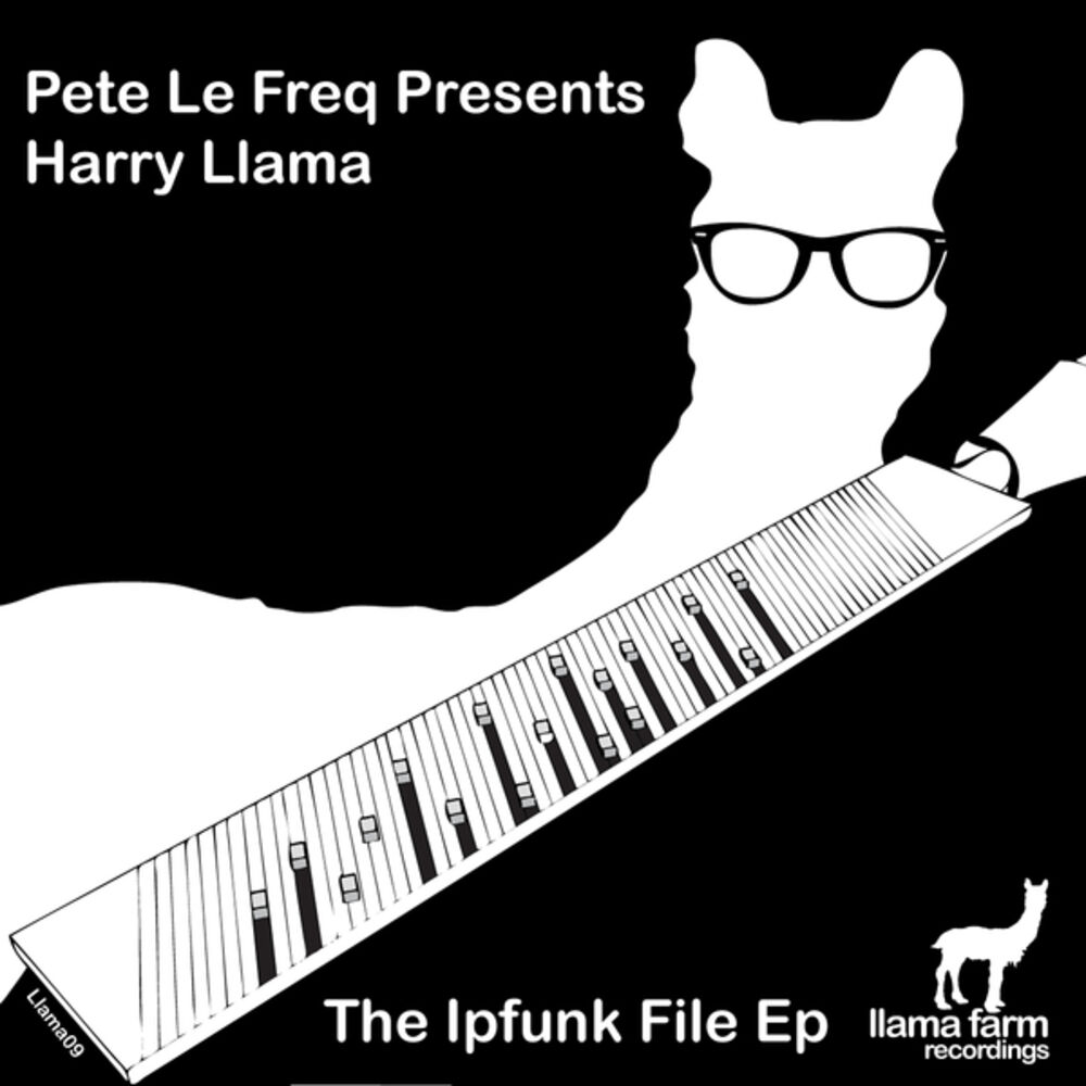 Picture of The Ipfunk File