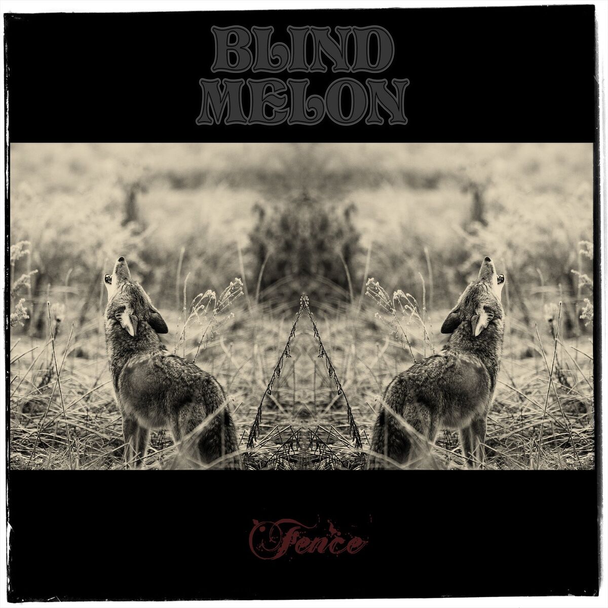 Album cover of Fence