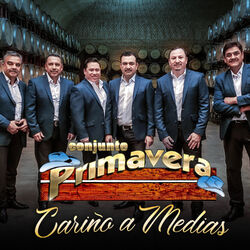 Cover of Cariño a Medias
