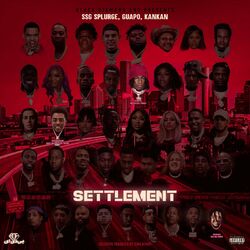 Cover of Settlement