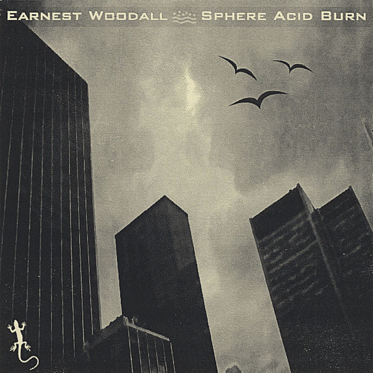 Album cover of Sphere Acid Burn
