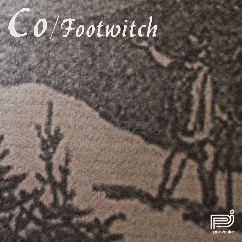 Picture of Footwitch