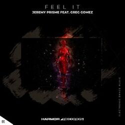 Cover of Feel It