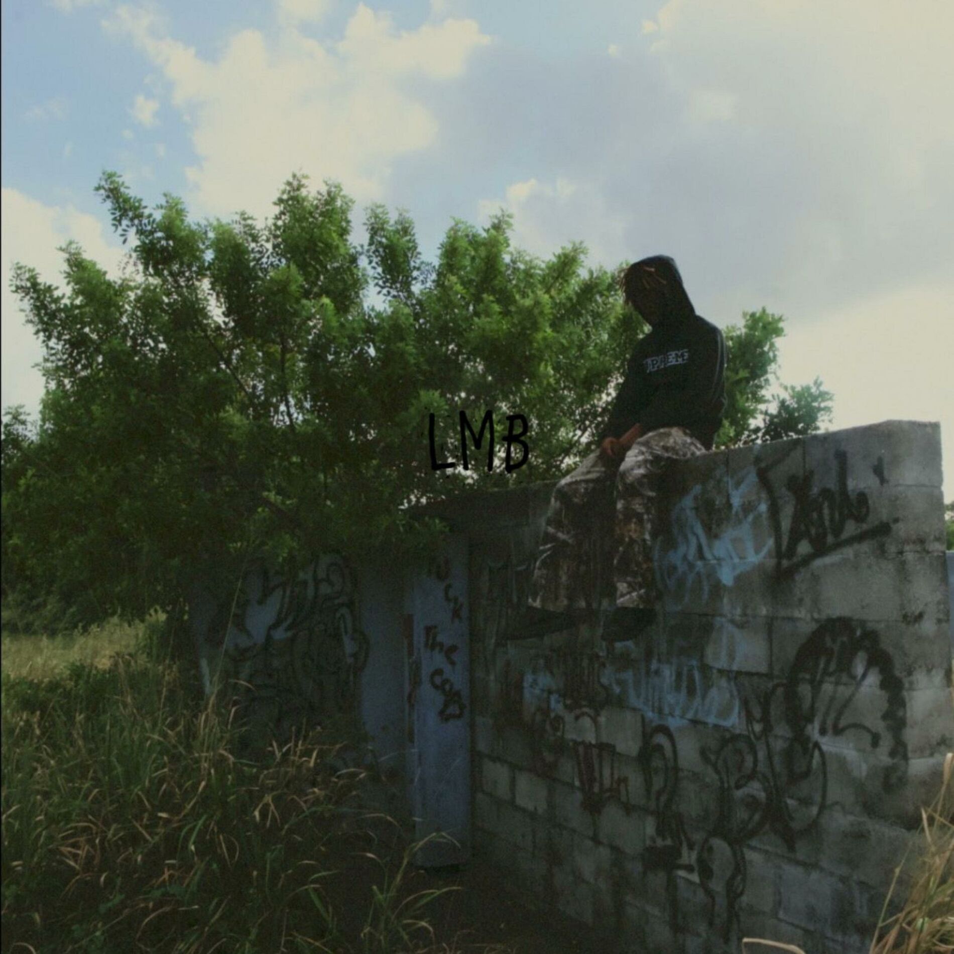 Album cover of LMB (Luv My Bitch)