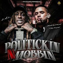 Cover of Politickin N Mobbin
