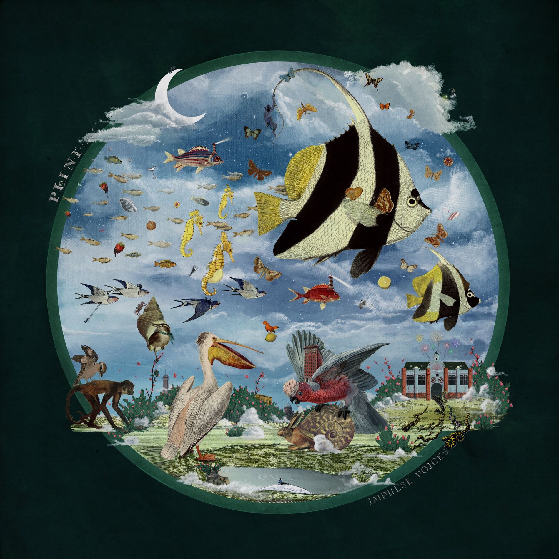 Album cover of Impulse Voices