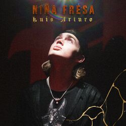 Cover of Niña Fresa