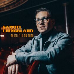 Cover of Perfect in My Mind