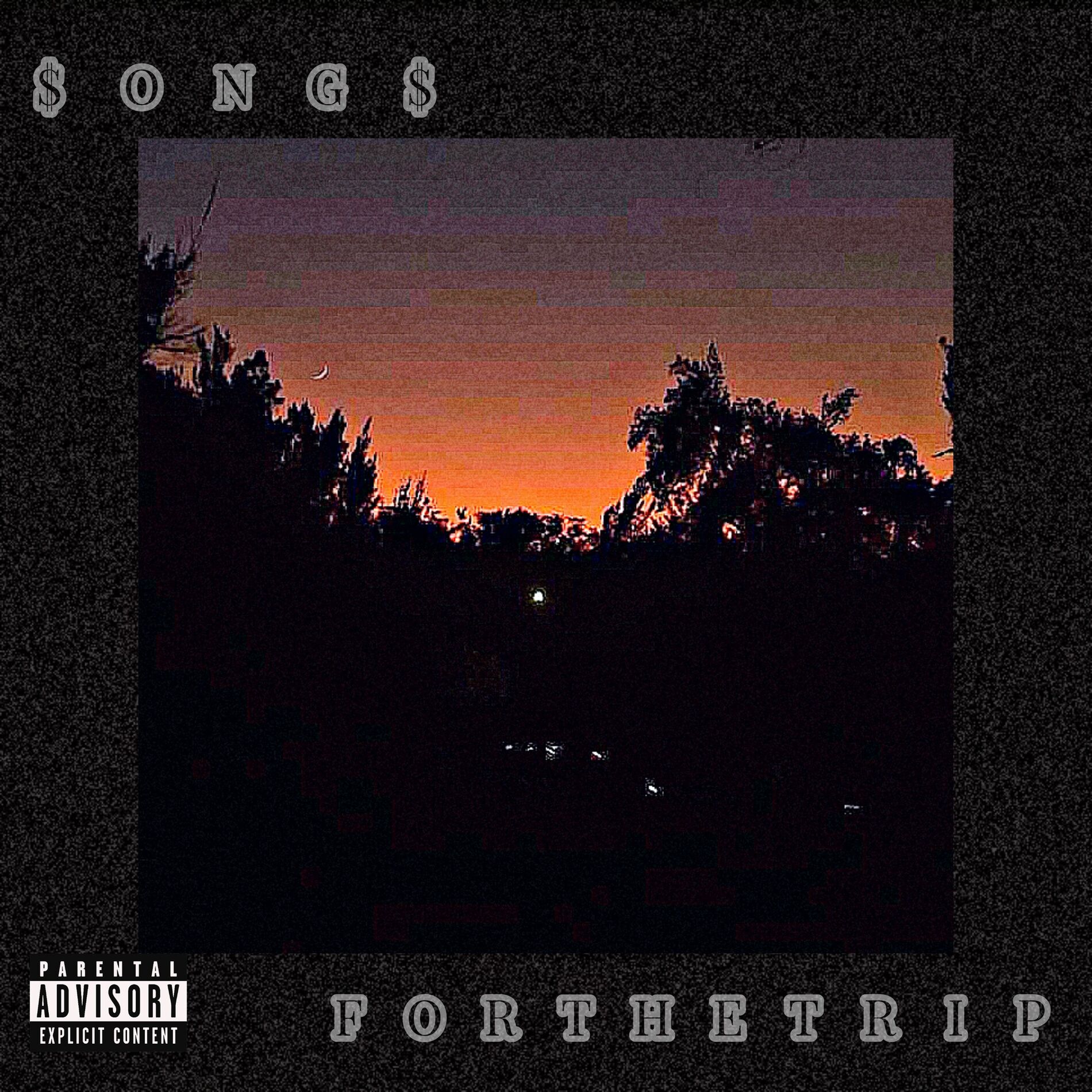 Album cover of SONGS FOR THE TRIP