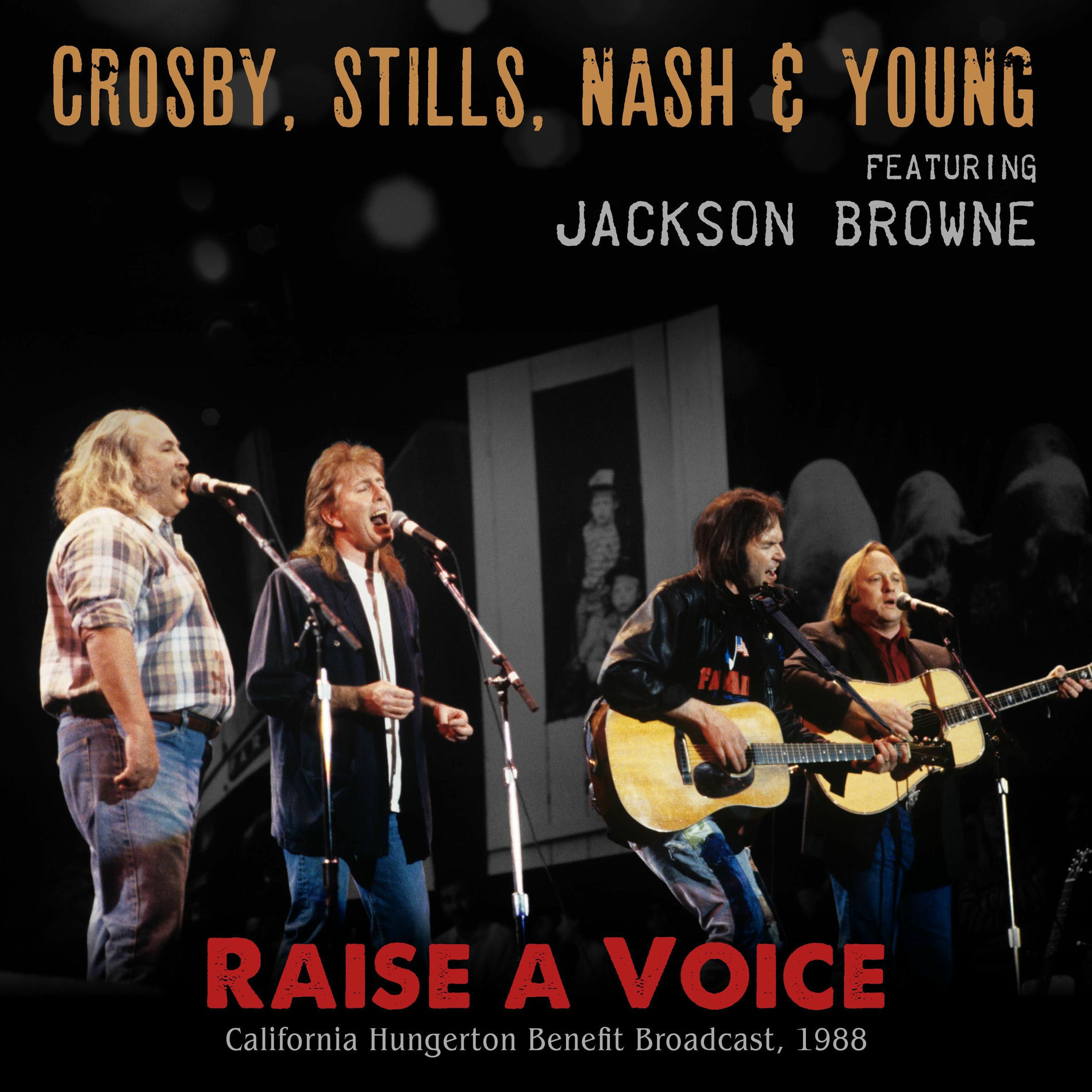 Album cover of Raise a Voice (Live 1988)