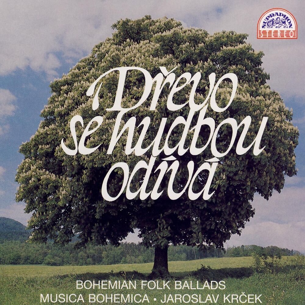 Picture of Dřevo Se Hudbou Odívá