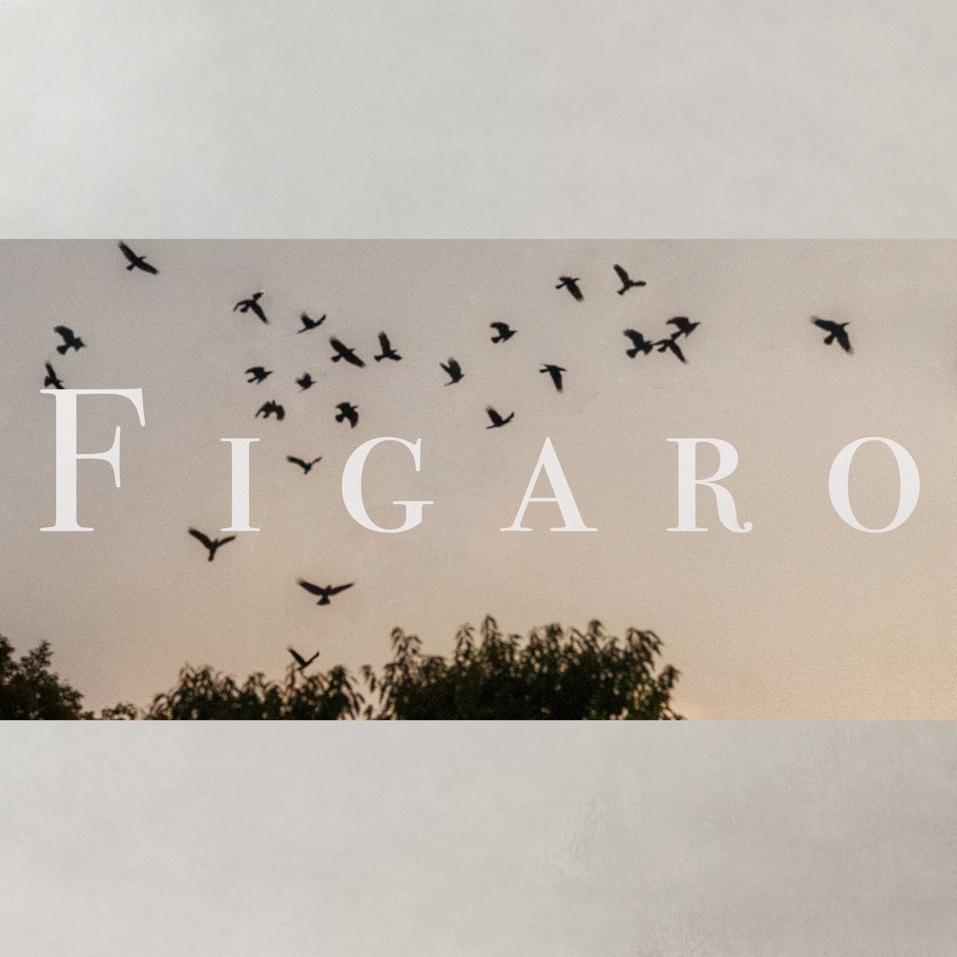 Album cover of FIGARO